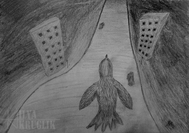 The Night Flight